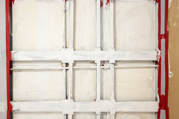 Forensic Mold Investigation in Kenedy, TX