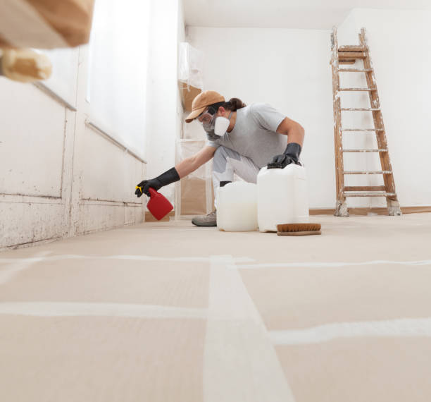 Professional Mold Removal in Kenedy, TX